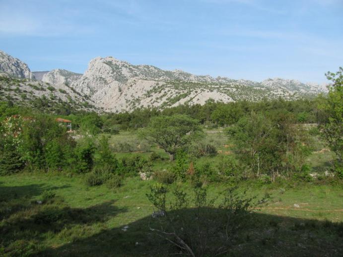 Paklina Apartments Starigrad Paklenica Εξωτερικό φωτογραφία