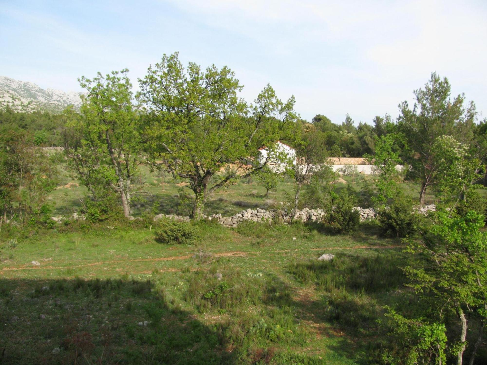 Paklina Apartments Starigrad Paklenica Εξωτερικό φωτογραφία